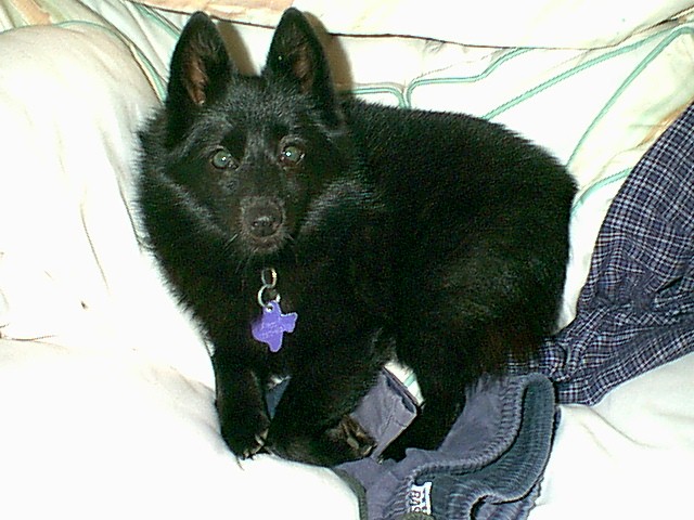 Maggie